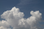 91-IMG_8250_paryaschie - - .jpg